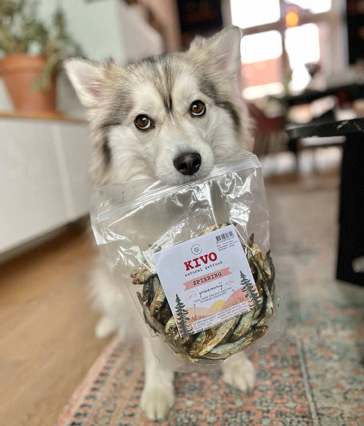 Cão snack - Músculo - 200g