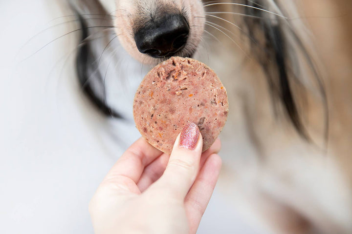 Carne cozinhada ao vapor - Pato - Com apenas um tipo de proteína animal - Sem Glúten