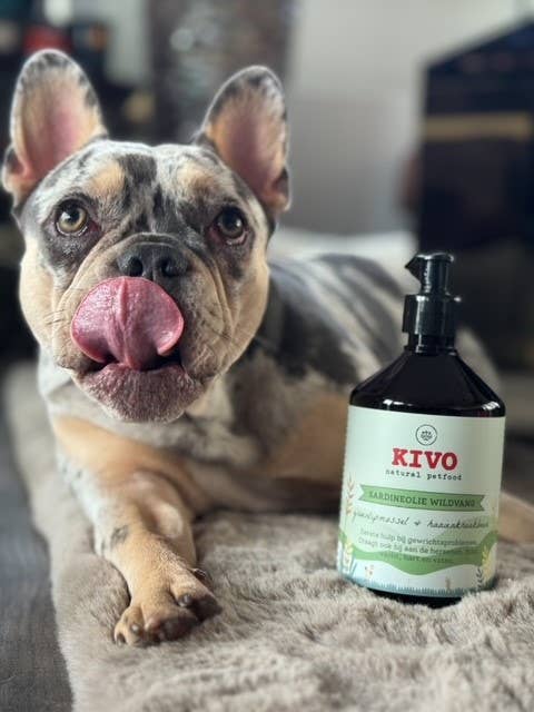 Óleo de Sardinha com Mexilhão de Lábio Verde e Cartilagem de Tubarão Kivo - Suplemento Articulações Cão
