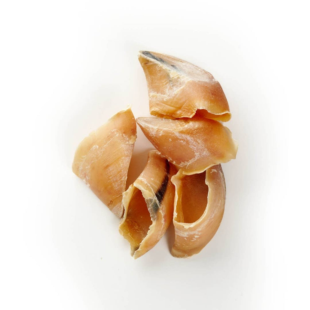 Cascos de Vitela Premium - Detalhe do Snack Natural de Chifre para Cães
