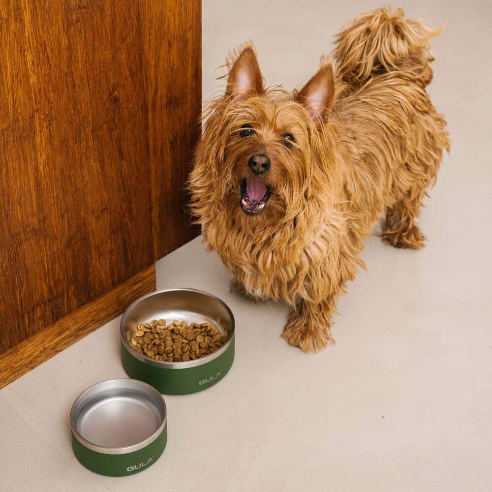 Taça para Cão Verde Oliva - Parede dupla e isolada