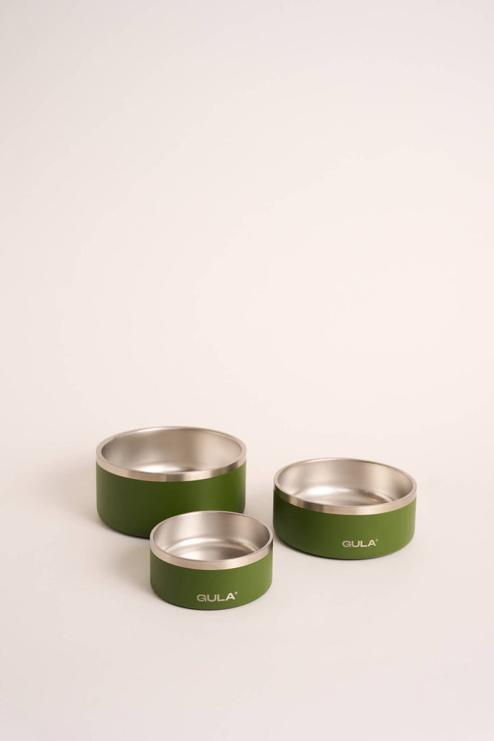 Olive Green Dog Bowl - Double Walled and Insulated