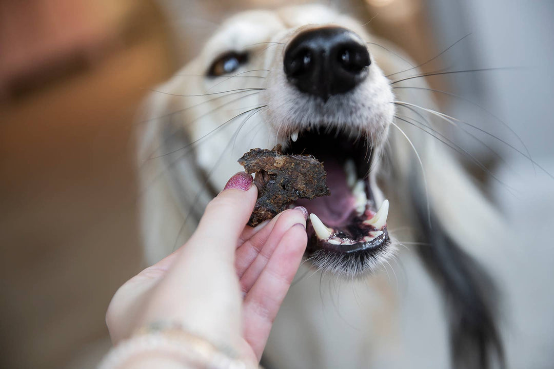 Snack Cão - Coração de novilho - 500g