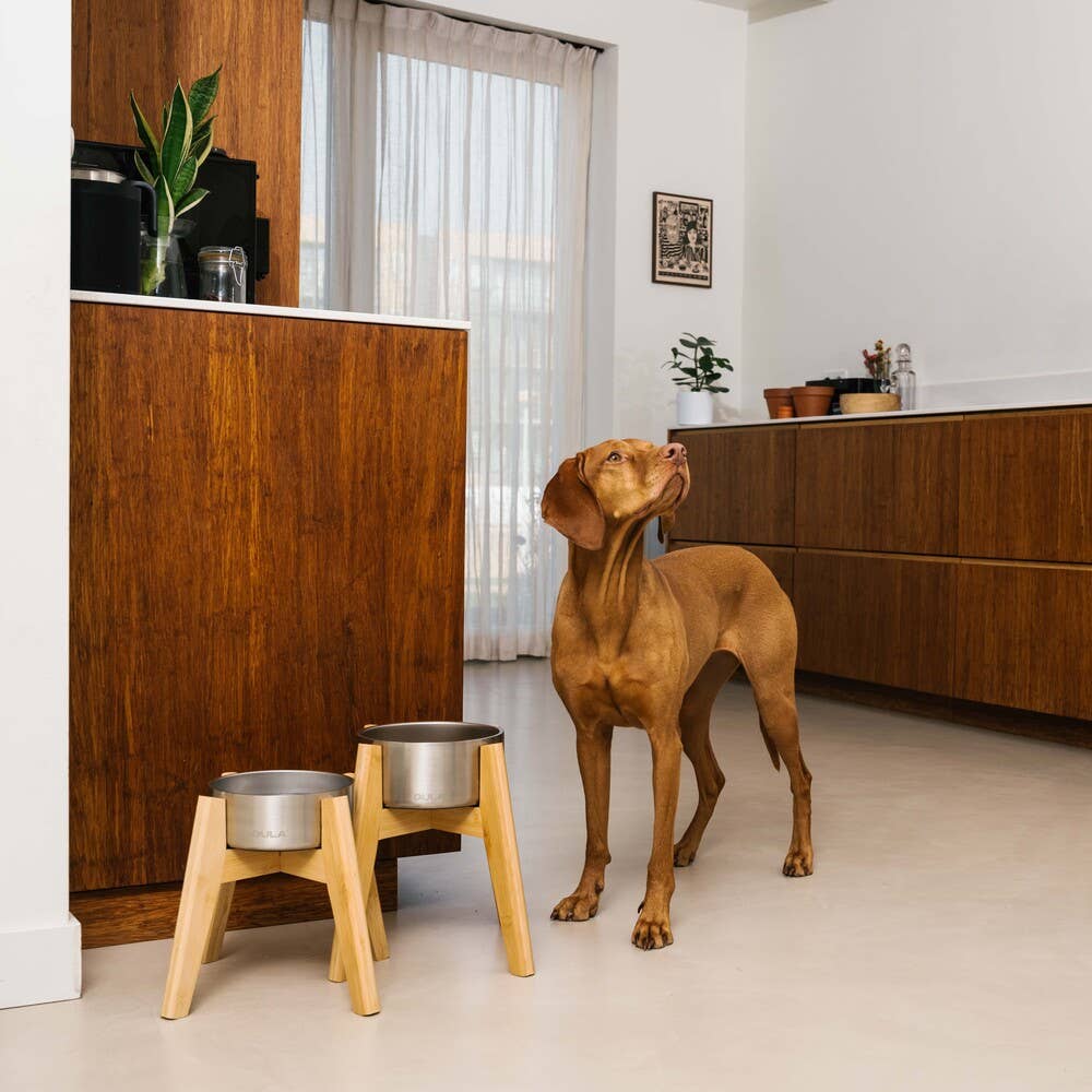 Suporte de Bamboo para Taça - Cão Standard