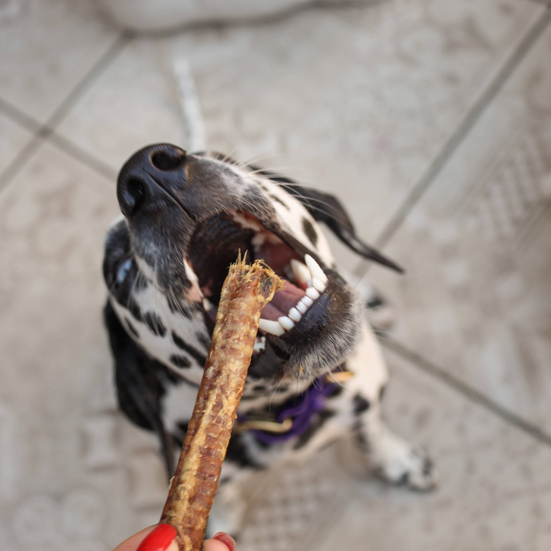 Snack Cão - Tubo de Aeronamento de Borrego - 250g