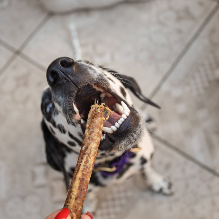 Snack Cão - Tubo de Aeronamento de Borrego - 250g