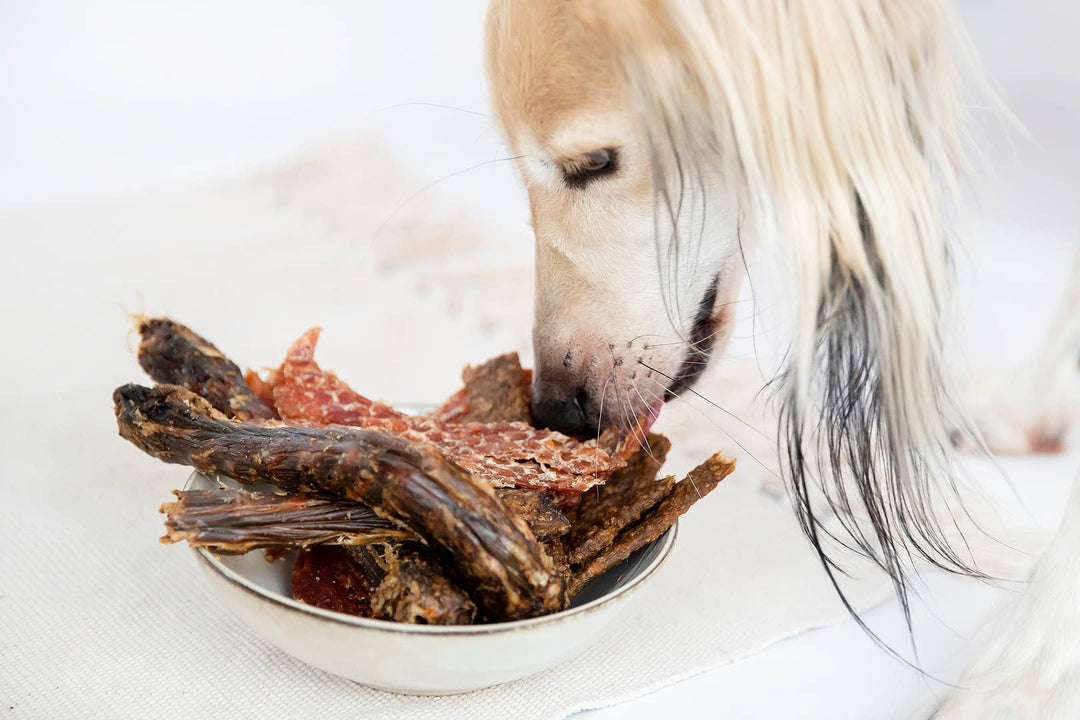 Snack para cão - Pescoço de Pato - 500g  Eendennekken