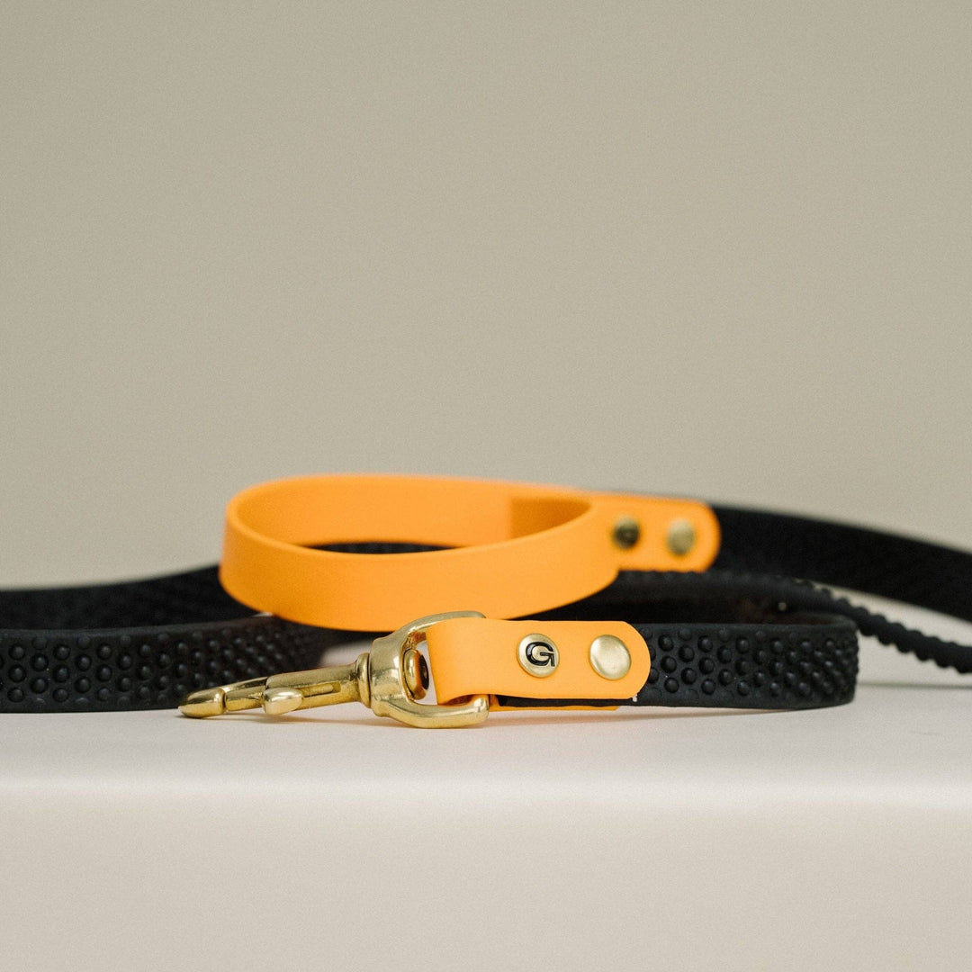 Anti Slip Dog Leash 175CM