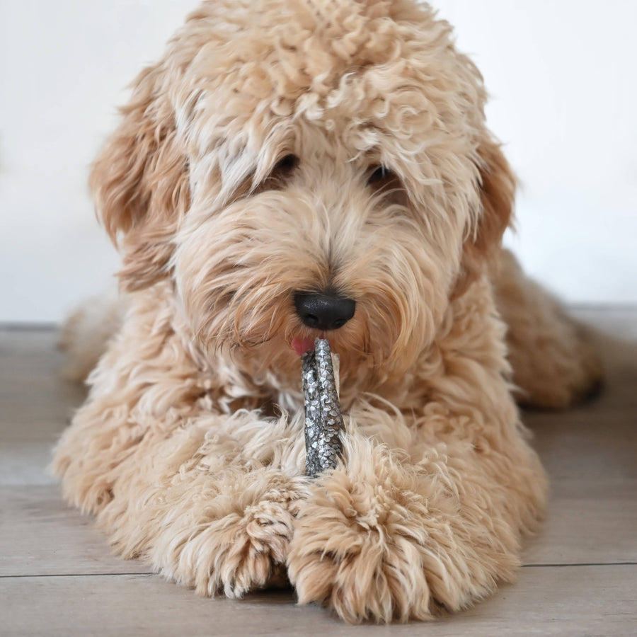 Cão feliz a comer snack natural de pele de salmão rico em ómega 3