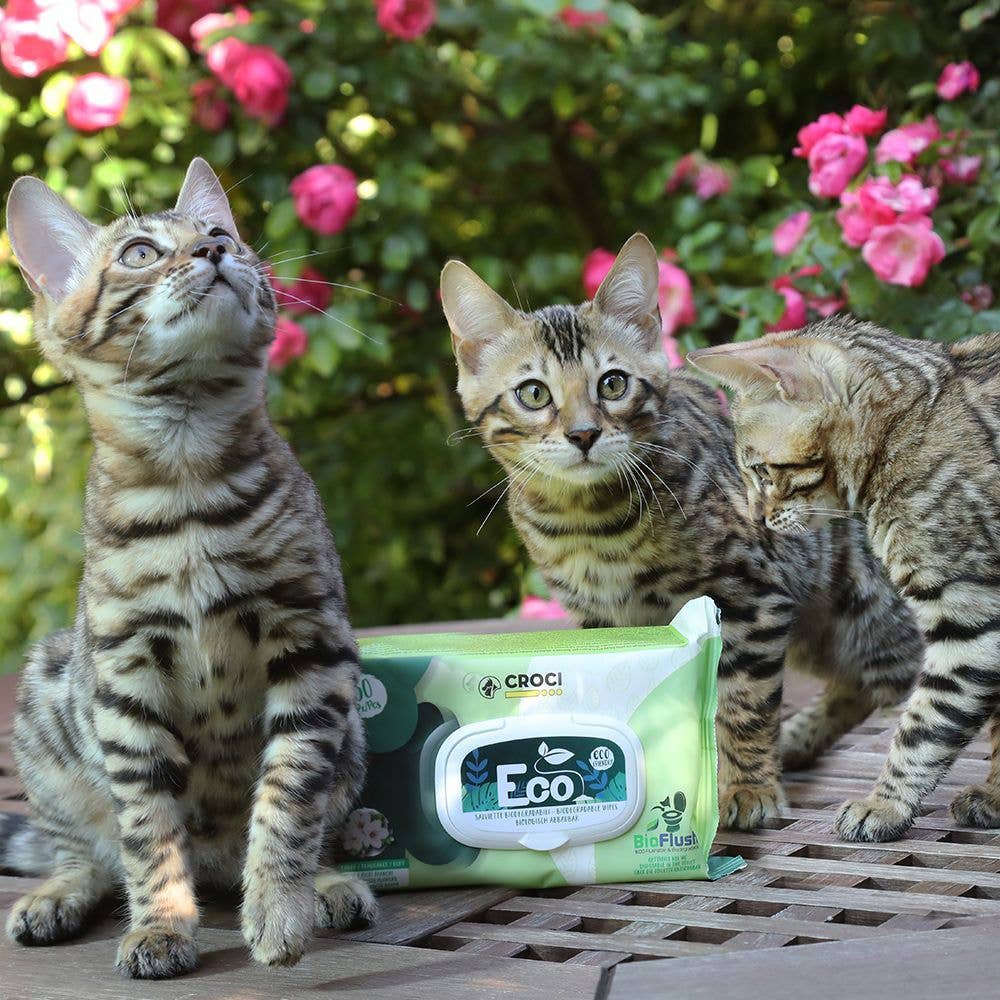 Gato com embalagem Eco PetWipes Croci - Toalhetes húmidos biodegradáveis chá verde e clorexidina
