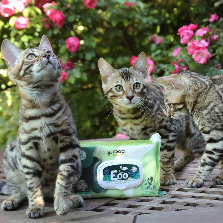 Toalhetes húmidos para cães e gatos - Eco PetWipes - Crosses