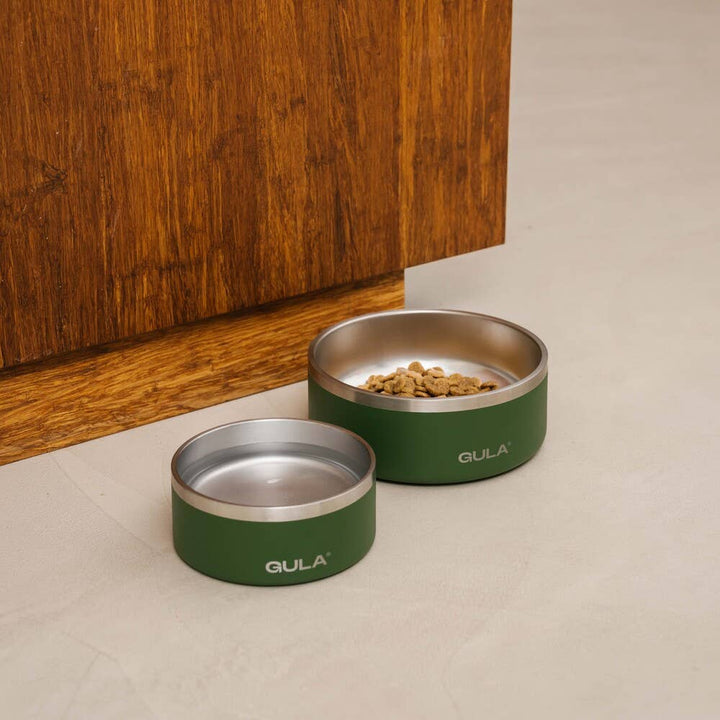 Olive Green Dog Bowl - Double Walled and Insulated