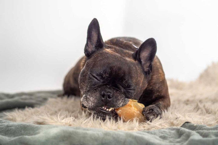 Snack Cão - Cascos de vitela - 10 peças