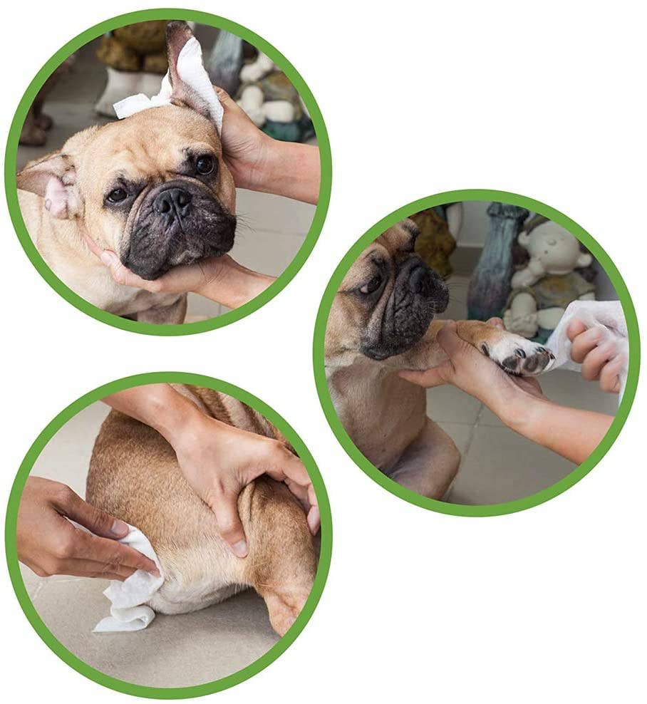 Toalhetes húmidos para cães e gatos - Eco PetWipes - Crosses