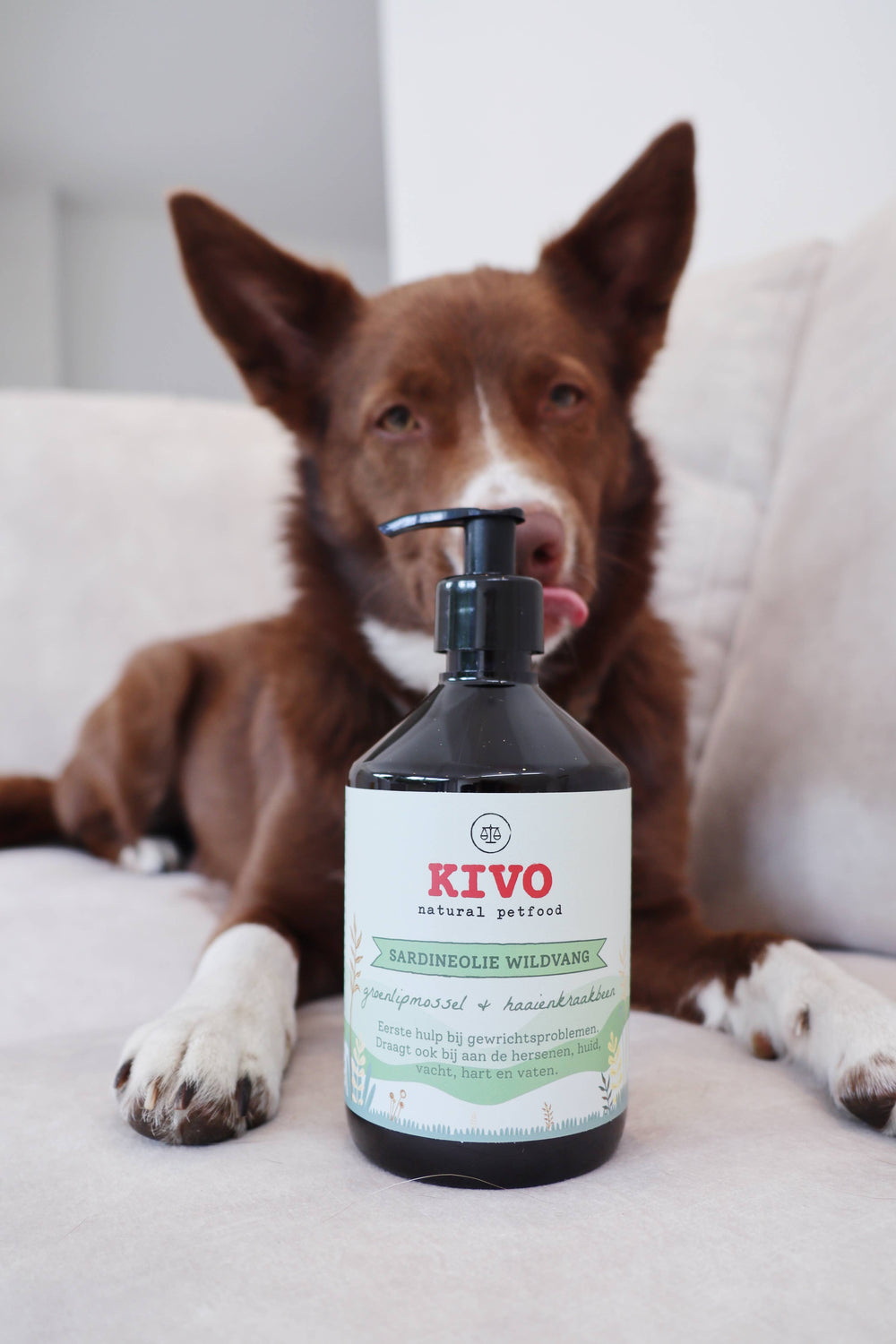 Suplemento Natural Kivo para Articulações - Óleo Sardinha Mexilhão Lábio Verde Cartilagem Tubarão
