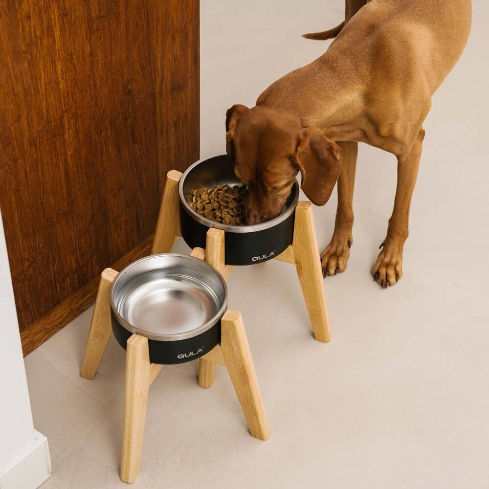 Suporte de Bamboo para Taça - Cão Standard