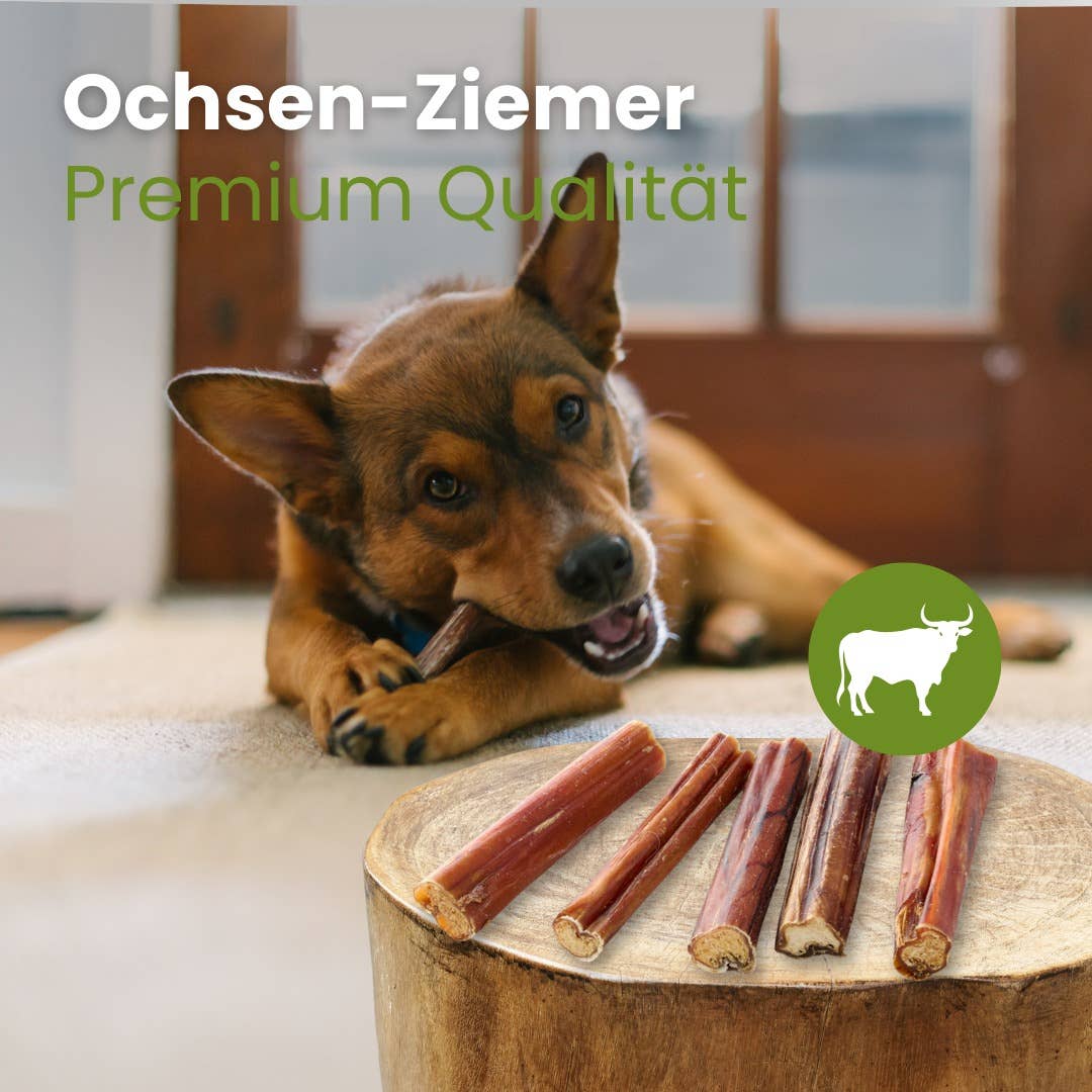 Snack de Tendão de Boi Premium para Cães - Mastigação Extra Longa - 100% Natural - Sem Conservantes - 100g