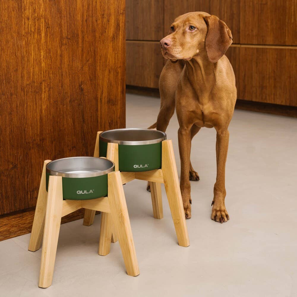 Olive Green Dog Bowl - Double Walled and Insulated