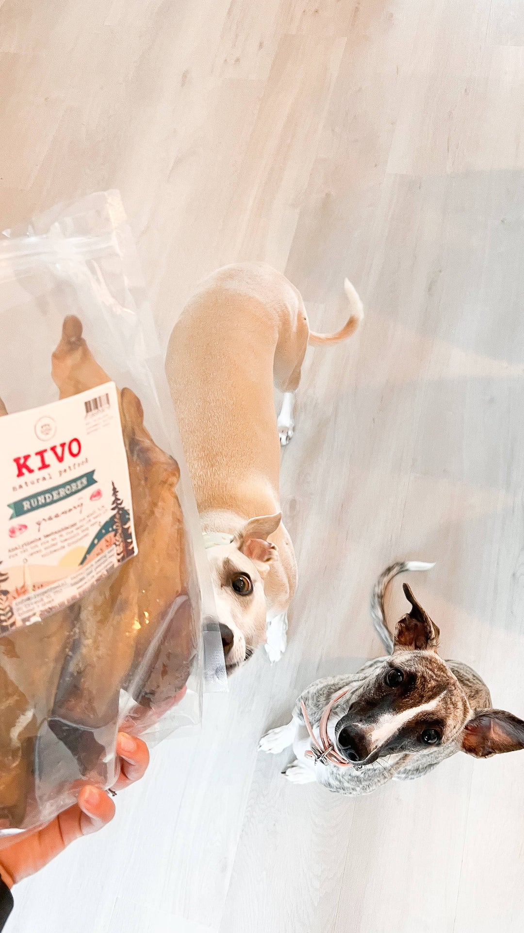 Snack Cão - Orelhas de novilho com carne 5 peças/25 peças