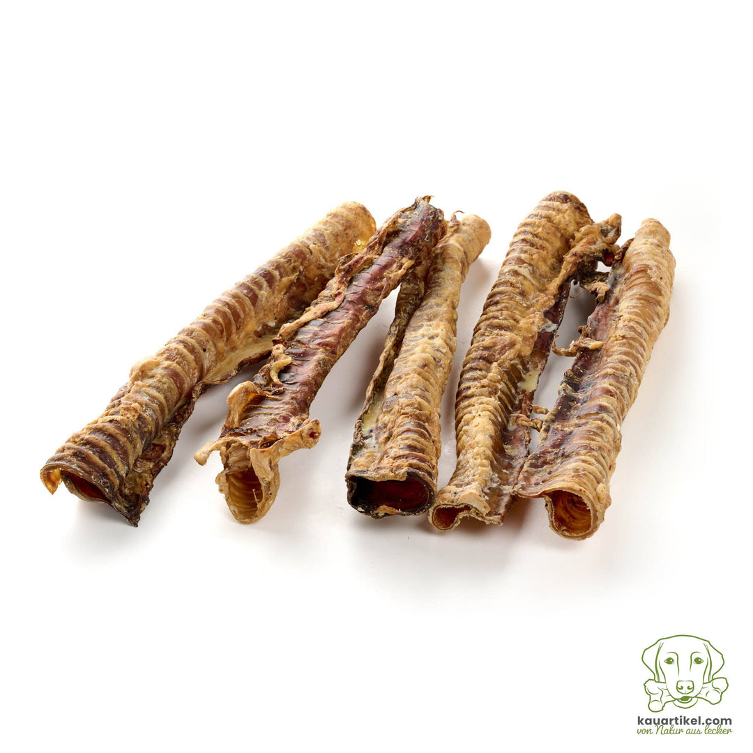 Traqueia de carne bovina