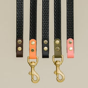 Trela Anti Slip Verde Oliva - Cão em Passeio com Trela Gula
