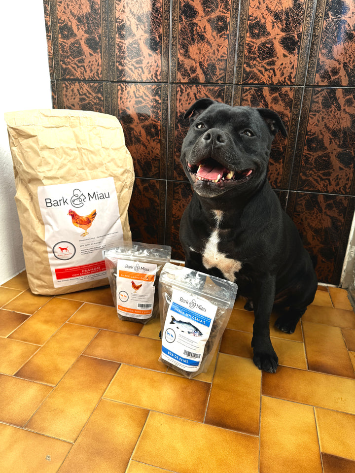 BarkandMiau Grain-Free Nature - Chicken and Herbs I Adult Dog