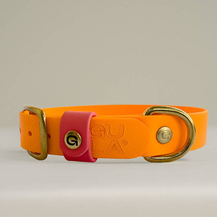 Biotano Dog Collar - Orange (25mm width)