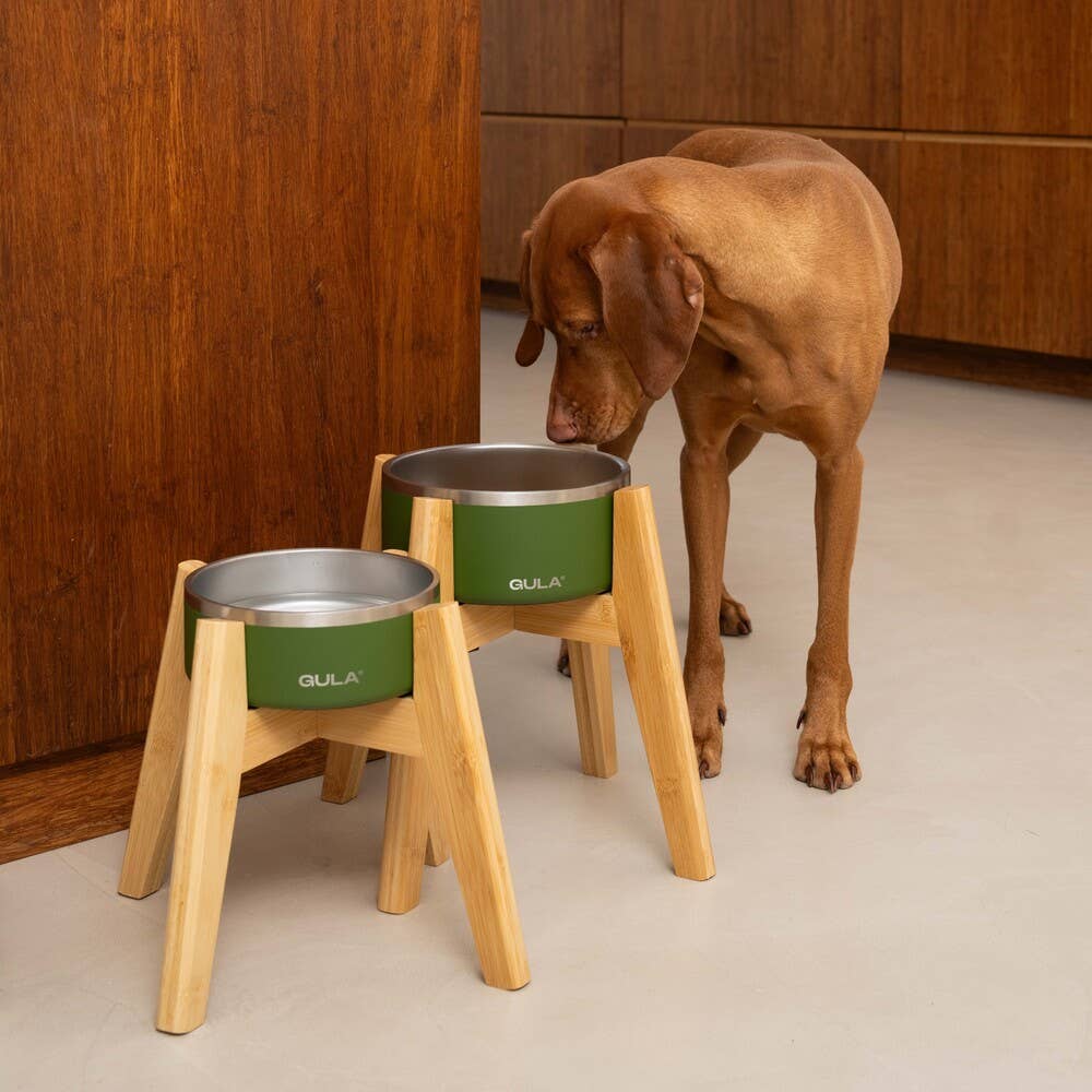 Olive Green Dog Bowl - Double Walled and Insulated