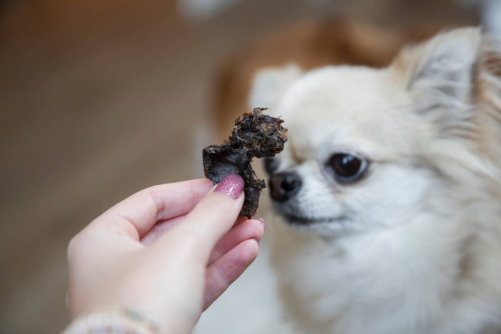 Snack Cão - Coração de novilho - 500g