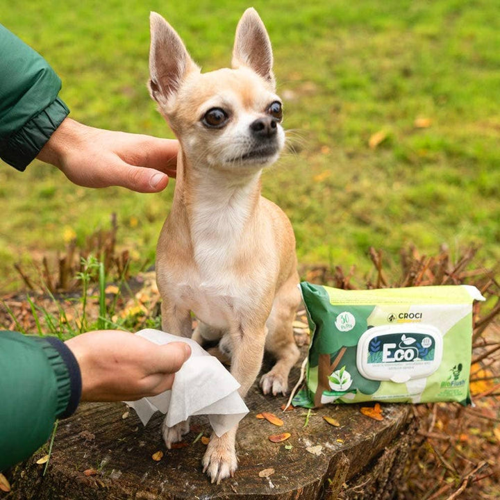 Toalhetes húmidos para cães e gatos - Eco PetWipes - Crosses