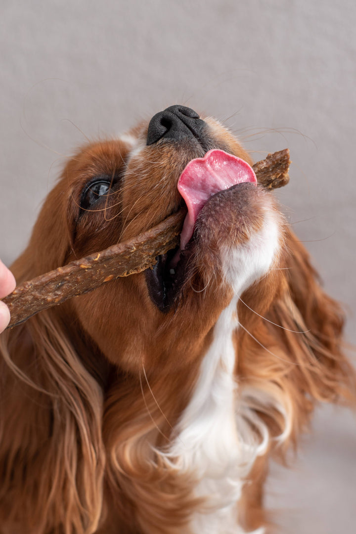 Snack para cães - Tiras de carne de pato - 125g