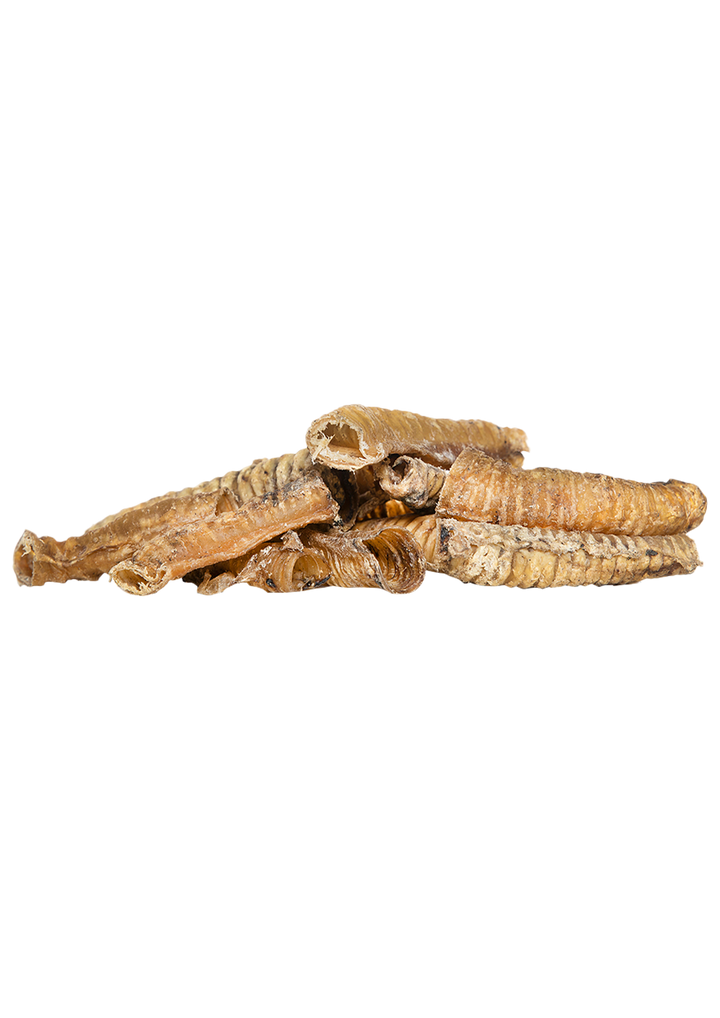 Snack Cão - Tubo de Aeronamento de Borrego - 250g