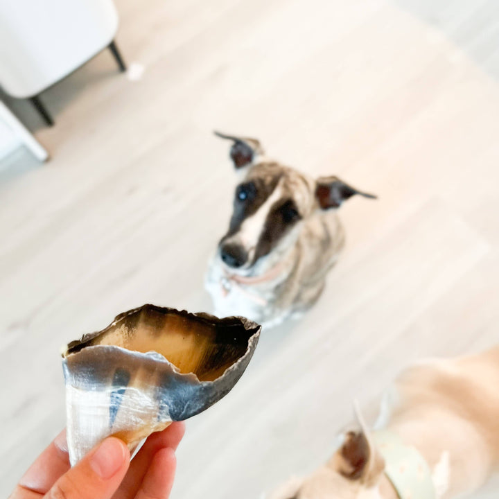 Snack Cão - Cascos de vitela - 10 peças - Kalfshoefjes