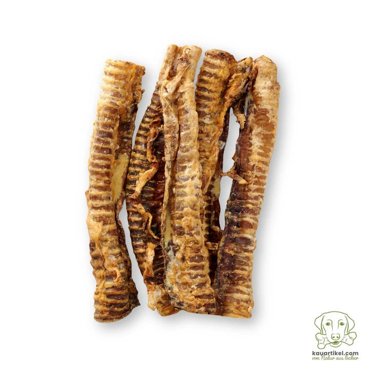 Traqueia de carne bovina