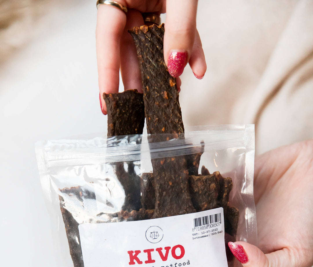 Snack para cães - Tiras de carne de pato - 125g