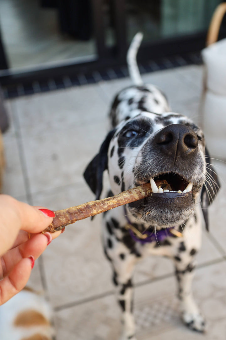 Snack Cão - Tubo de Aeronamento de Borrego - 250g