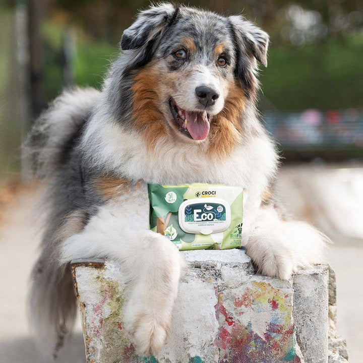 Toalhetes húmidos para cães e gatos - Eco PetWipes - Crosses