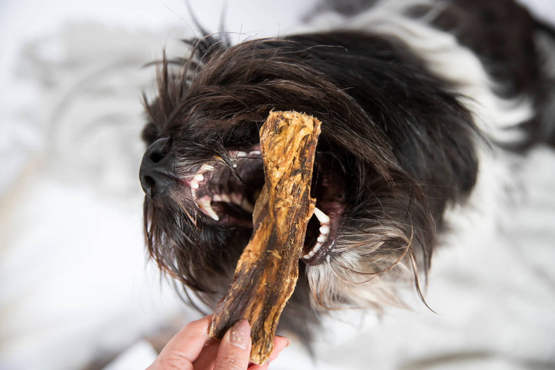 Snack Cão - Pulmão de novilho - 500g/1000g