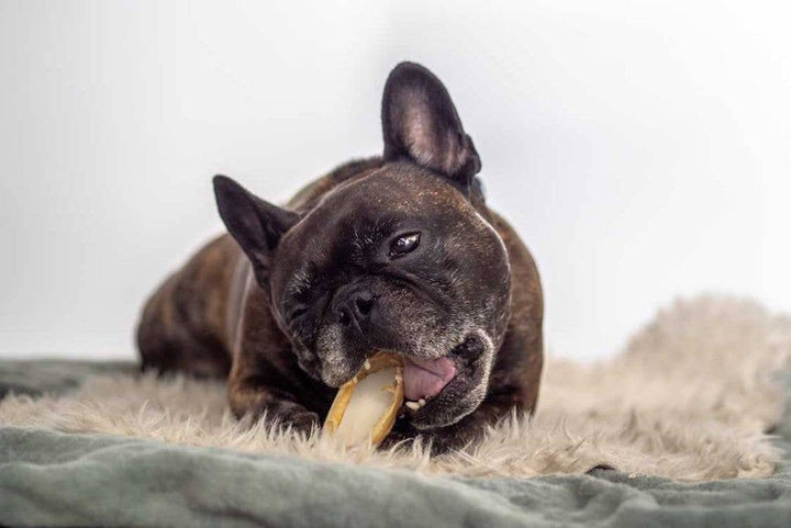 Snack Cão - Cascos de Vitela com Gordura de Ovelha - 3 peças -Kalfshoefjes met schapenvet