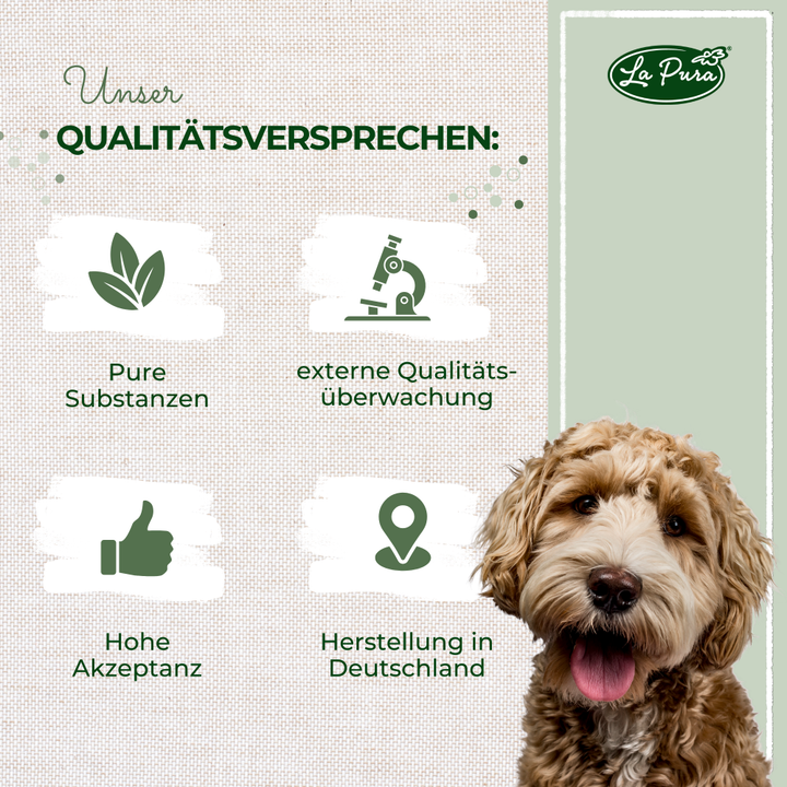 Pó de mexilhão de lábio verde LaPura 250g