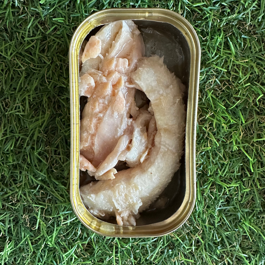 Salmão ao Natural (Cães)