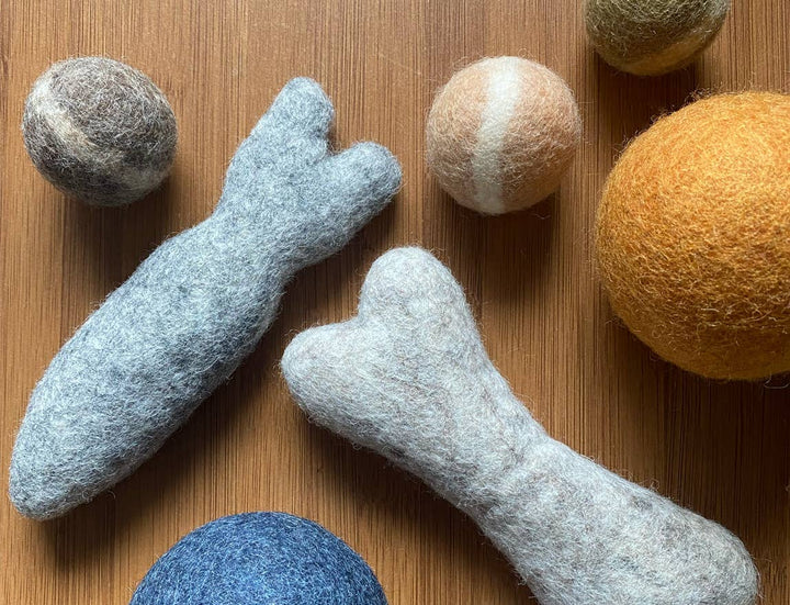 Felt Fish Cat Toy