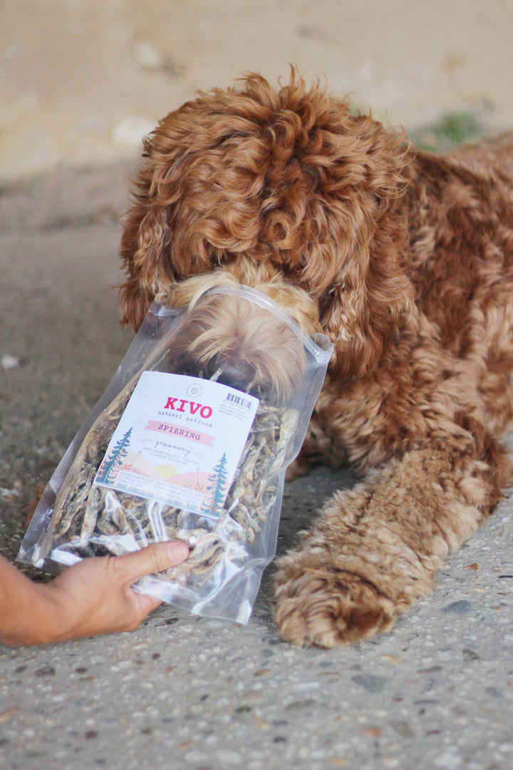 Cão snack - Músculo - 200g