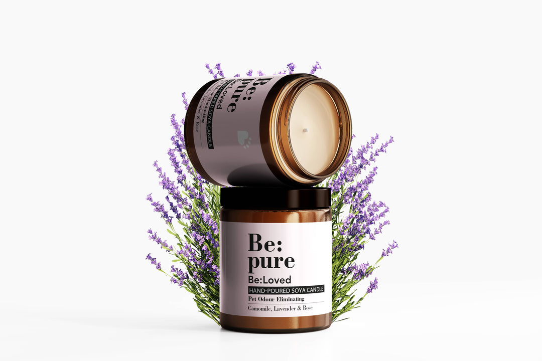 Be:Vela Pura - Calming Candle Eliminates Pet Odors